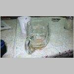 p1010371 [800x600].jpg